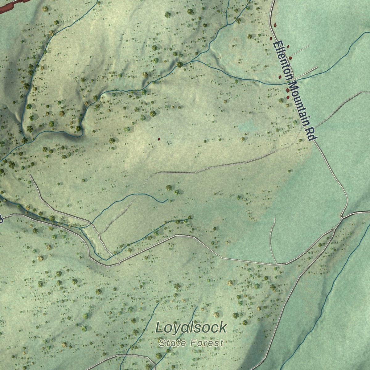 Second close-up of the map of McNett, Pennsylvania print showing more streets and buildings