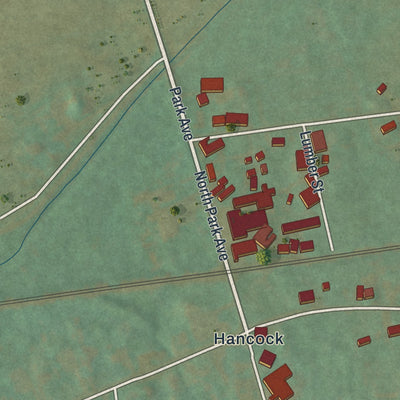 Close-up of the map of Mertztown, Pennsylvania print showing street and building detail