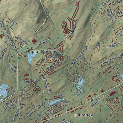 Close-up of the map of Middle Smithfield, Pennsylvania print showing street and building detail