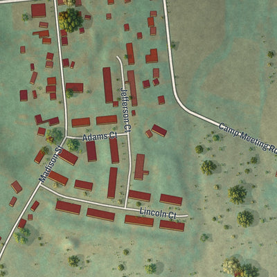 Close-up of the map of New Tripoli, Pennsylvania print showing street and building detail