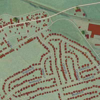 Close-up of the map of Newmanstown, Pennsylvania print showing street and building detail