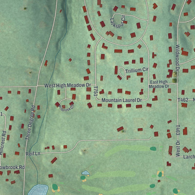 Close-up of the map of Nixon, Pennsylvania print showing street and building detail