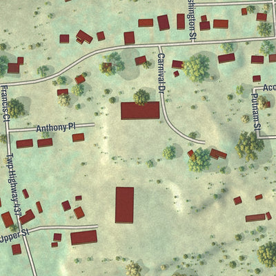 Close-up of the map of Pardeesville, Pennsylvania print showing street and building detail