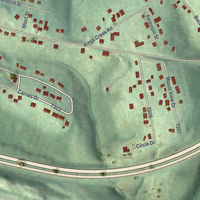 Close-up of the map of Paris, Pennsylvania print showing street and building detail