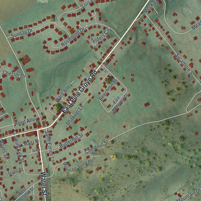 Close-up of the map of Pine Grove Mills, Pennsylvania print showing street and building detail