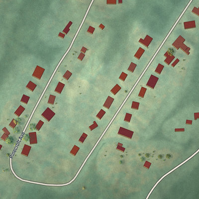 Close-up of the map of Pinecroft, Pennsylvania print showing street and building detail