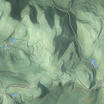 Second close-up of the map of Plunketts Creek, Pennsylvania print showing more streets and buildings