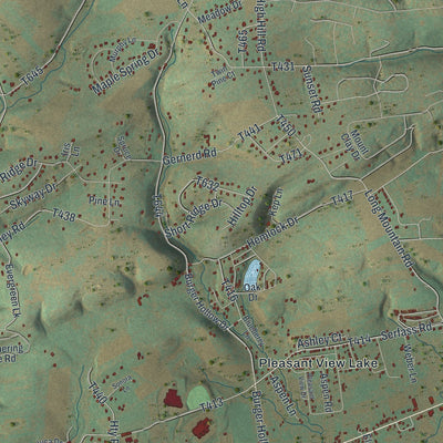 Second close-up of the map of Polk, Monroe County, Pennsylvania print showing more streets and buildings