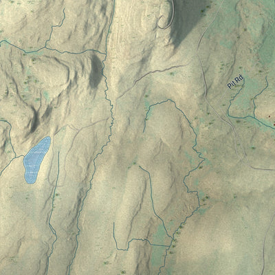 Second close-up of the map of Porter, Pike County, Pennsylvania print showing more streets and buildings