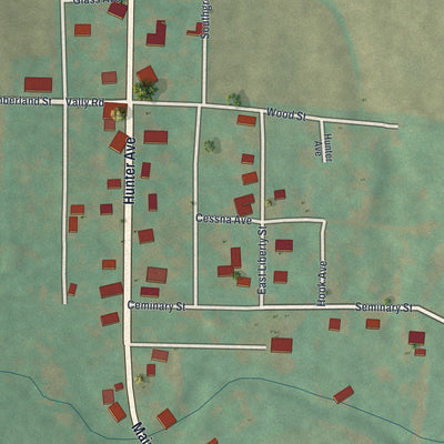 Close-up of the map of Rainsburg, Pennsylvania print showing street and building detail