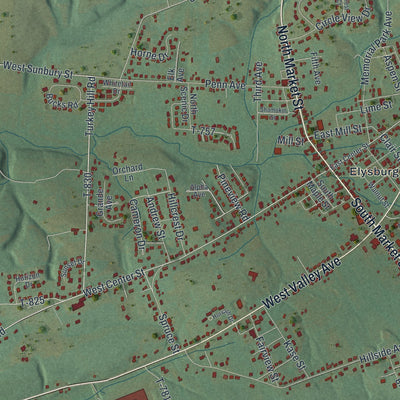 Close-up of the map of Ralpho, Pennsylvania print showing street and building detail