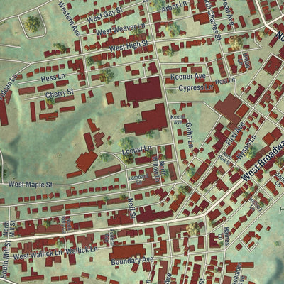 Close-up of the map of Red Lion, Pennsylvania print showing street and building detail