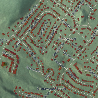 Close-up of the map of Reiffton, Pennsylvania print showing street and building detail