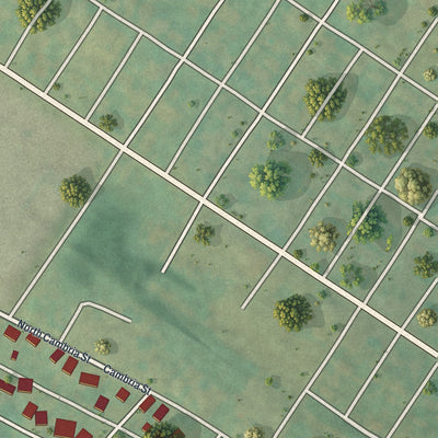 Close-up of the map of Reightown, Pennsylvania print showing street and building detail