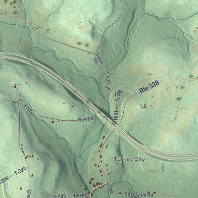 Close-up of the map of Richland, Clarion County, Pennsylvania print showing street and building detail