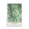 Map of Ridgebury, Pennsylvania, 12 x 18 inch unframed archival matte print