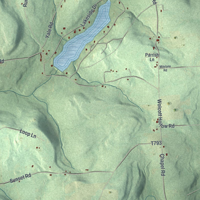 Close-up of the map of Ridgebury, Pennsylvania print showing street and building detail