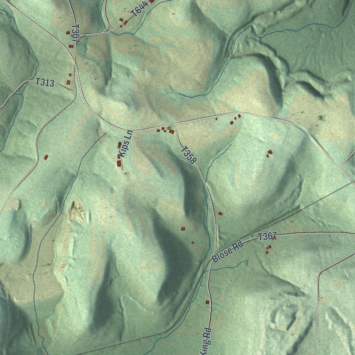 Close-up of the map of Ringgold, Pennsylvania print showing street and building detail