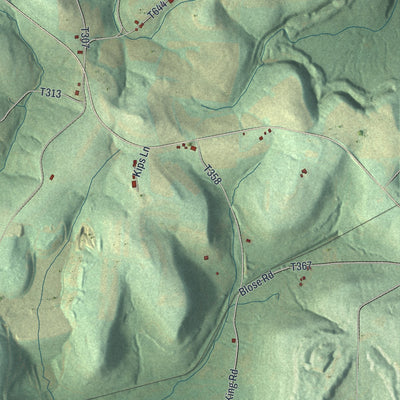 Close-up of the map of Ringgold, Pennsylvania print showing street and building detail
