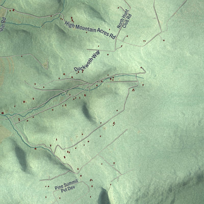 Close-up of the map of Roaring Creek, Pennsylvania print showing street and building detail