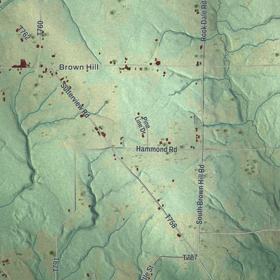 Close-up of the map of Rockdale, Pennsylvania print showing street and building detail
