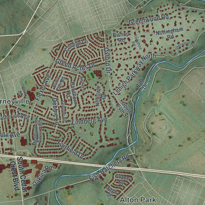 Close-up of the map of Salisbury, Lehigh County, Pennsylvania print showing street and building detail