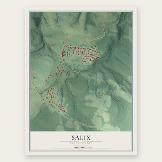 Salix, Pennsylvania map print, the full design