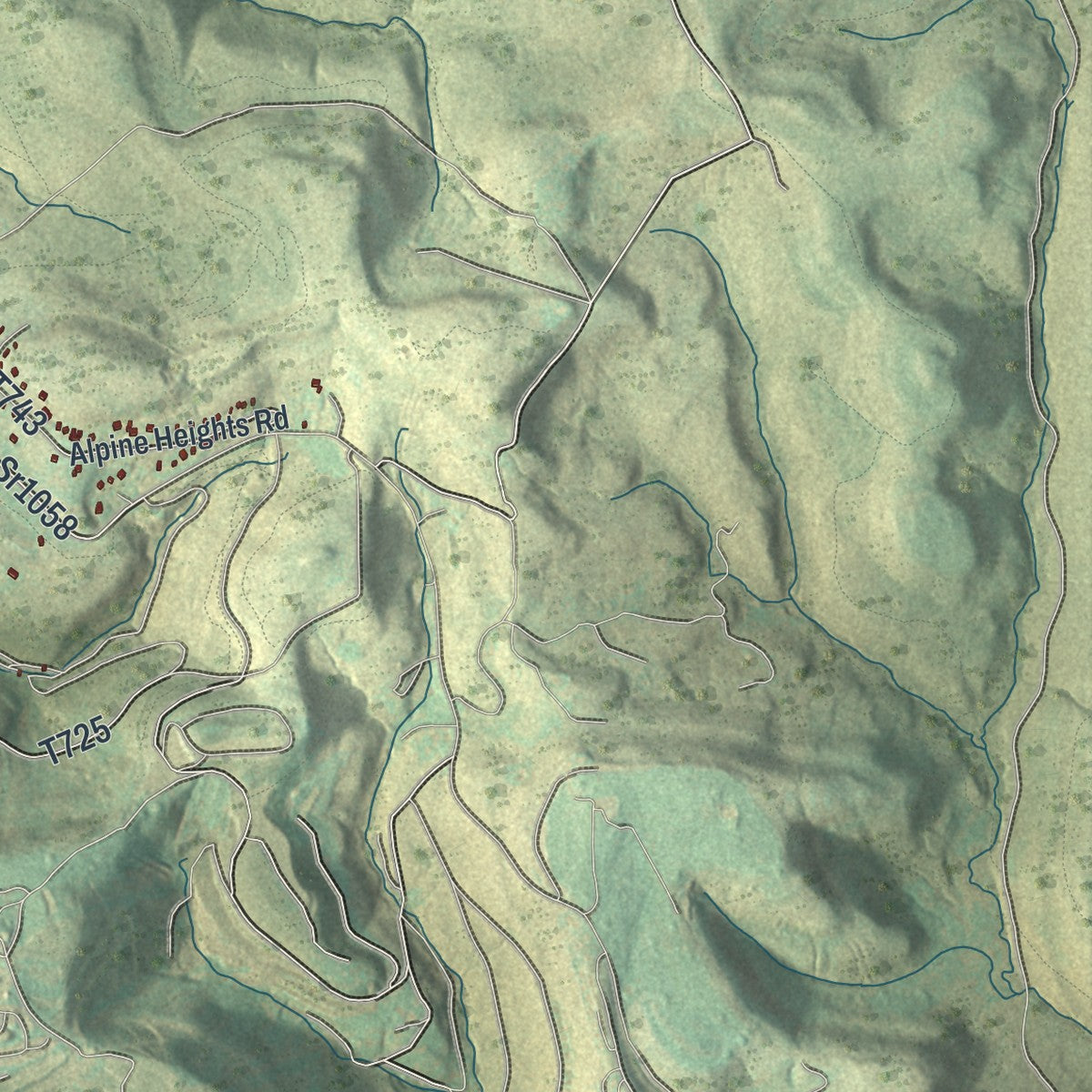 Close-up of the map of Saltlick, Pennsylvania print showing street and building detail