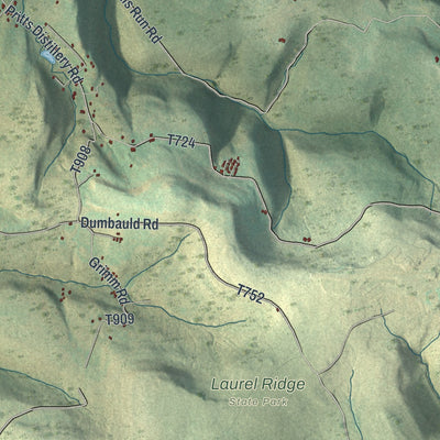 Second close-up of the map of Saltlick, Pennsylvania print showing more streets and buildings