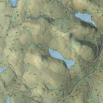 Second close-up of the map of Scott, Wayne County, Pennsylvania print showing more streets and buildings