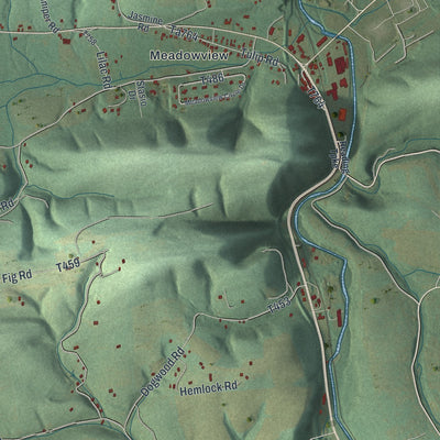 Close-up of the map of Shamokin, Northumberland County, Pennsylvania print showing street and building detail
