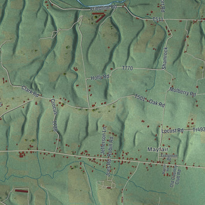 Second close-up of the map of Shamokin, Northumberland County, Pennsylvania print showing more streets and buildings