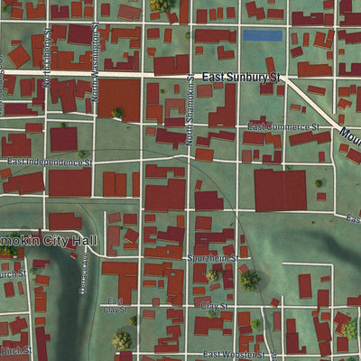 Second close-up of the map of the City of Shamokin, Northumberland County, Pennsylvania print showing more streets and buildings