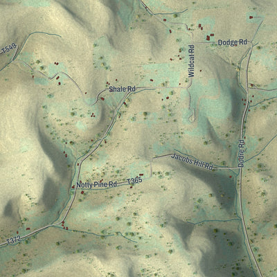 Close-up of the map of Sharon, Potter County, Pennsylvania print showing street and building detail
