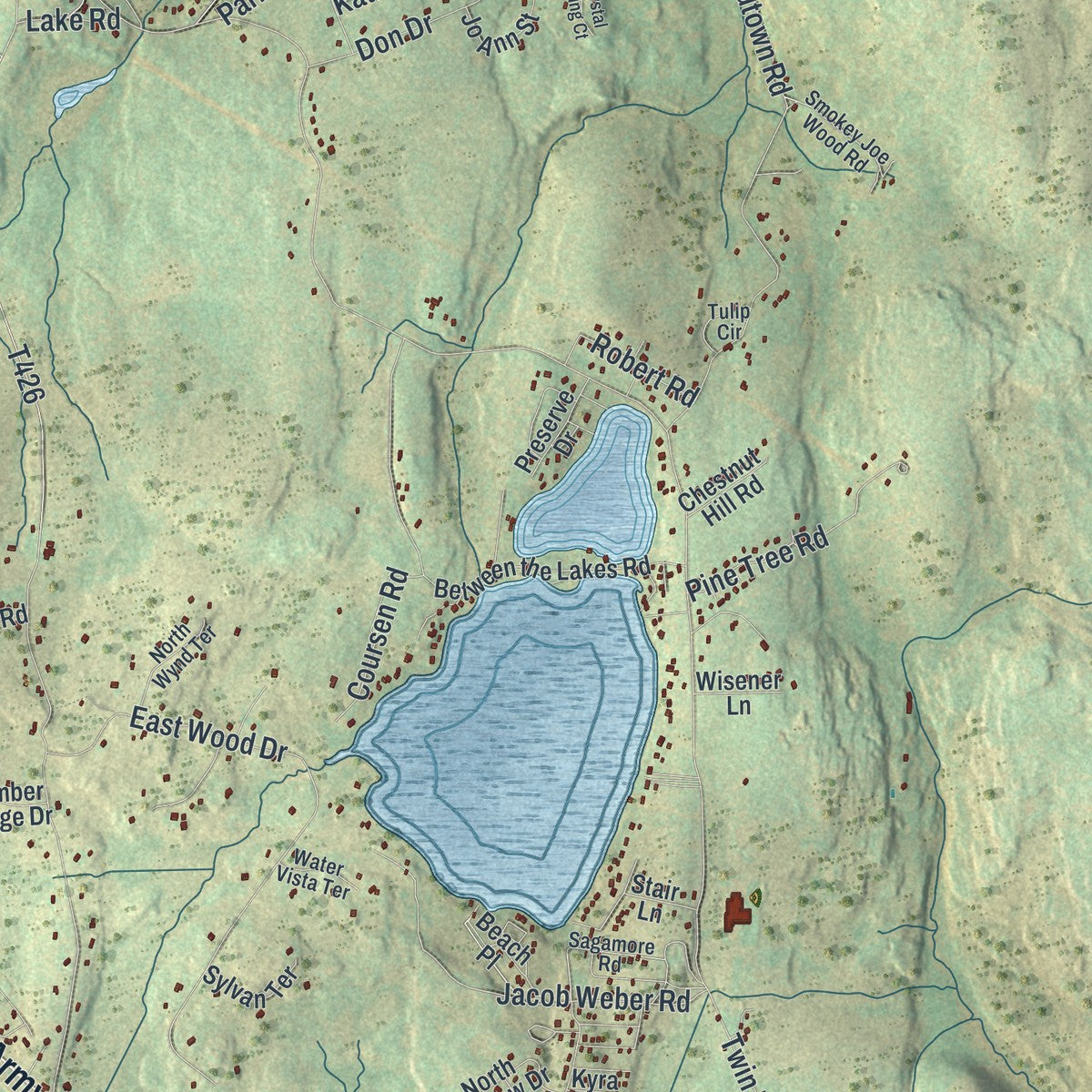 Close-up of the map of Shohola, Pennsylvania print showing street and building detail