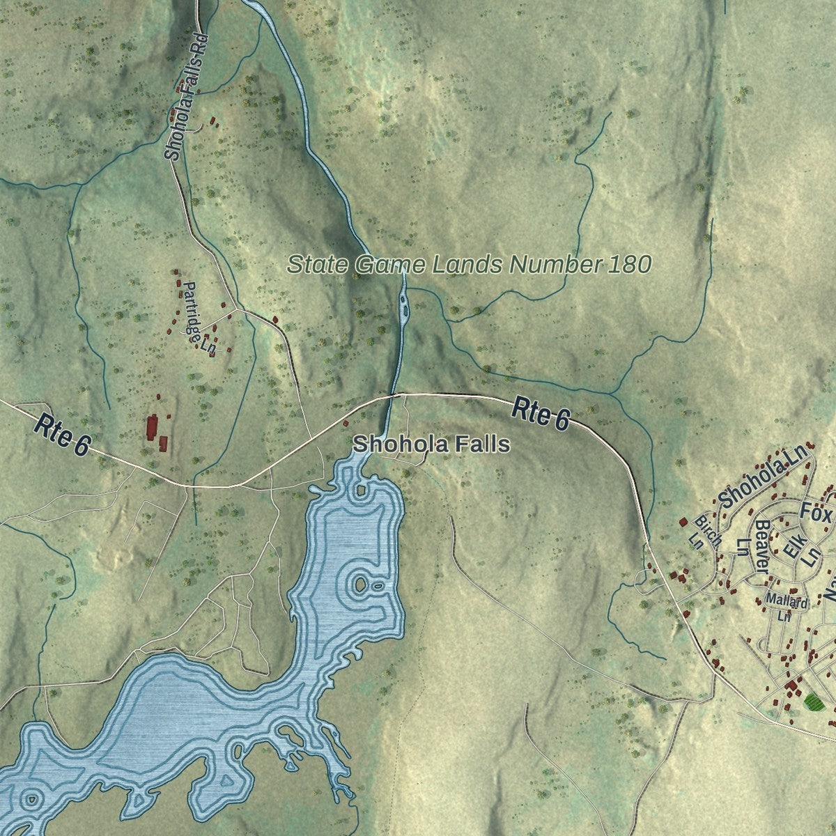 Second close-up of the map of Shohola, Pennsylvania print showing more streets and buildings