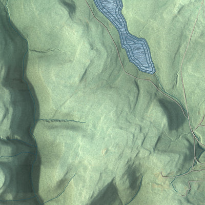Second close-up of the map of Shrewsbury, Lycoming County, Pennsylvania print showing more streets and buildings