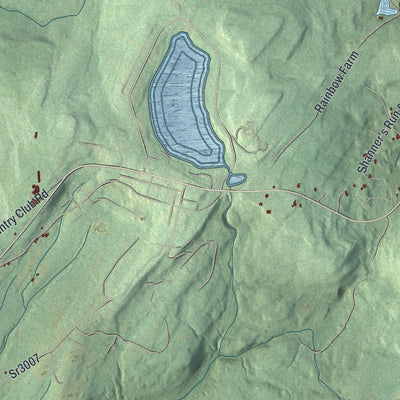 Close-up of the map of Shrewsbury, Sullivan County, Pennsylvania print showing street and building detail