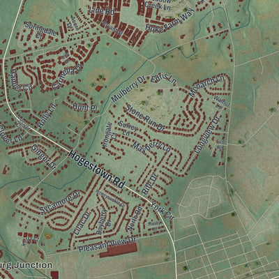 Close-up of the map of Silver Spring, Pennsylvania print showing street and building detail