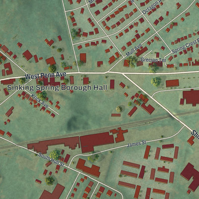 Close-up of the map of Sinking Spring, Pennsylvania print showing street and building detail