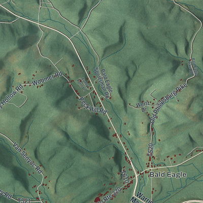 Second close-up of the map of Snyder, Blair County, Pennsylvania print showing more streets and buildings