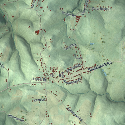 Close-up of the map of South Beaver, Pennsylvania print showing street and building detail