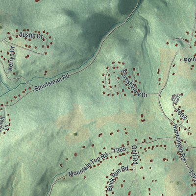 Second close-up of the map of South Heidelberg, Pennsylvania print showing more streets and buildings