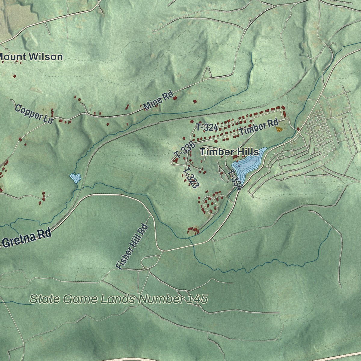 Second close-up of the map of South Londonderry, Pennsylvania print showing more streets and buildings
