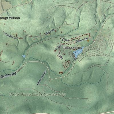 Second close-up of the map of South Londonderry, Pennsylvania print showing more streets and buildings