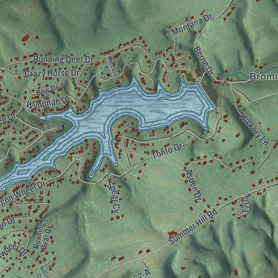 Close-up of the map of South Manheim, Pennsylvania print showing street and building detail