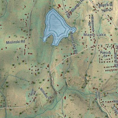 Close-up of the map of Spring Brook, Pennsylvania print showing street and building detail