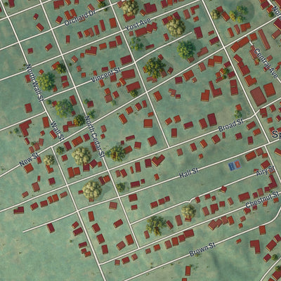 Close-up of the map of Spring City, Pennsylvania print showing street and building detail