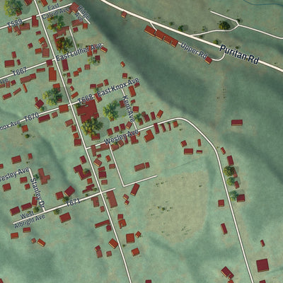 Close-up of the map of Spring Hill, Pennsylvania print showing street and building detail