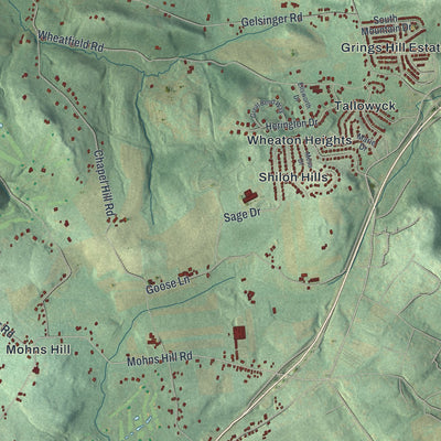 Second close-up of the map of Spring, Berks County, Pennsylvania print showing more streets and buildings